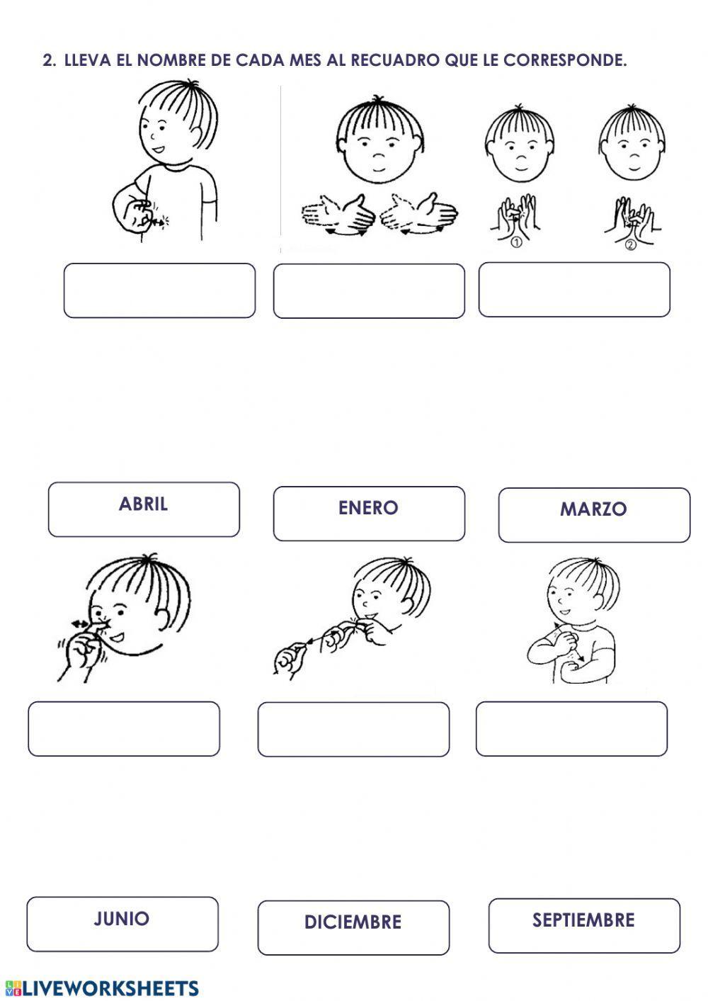 Días, meses y estaciones en lse