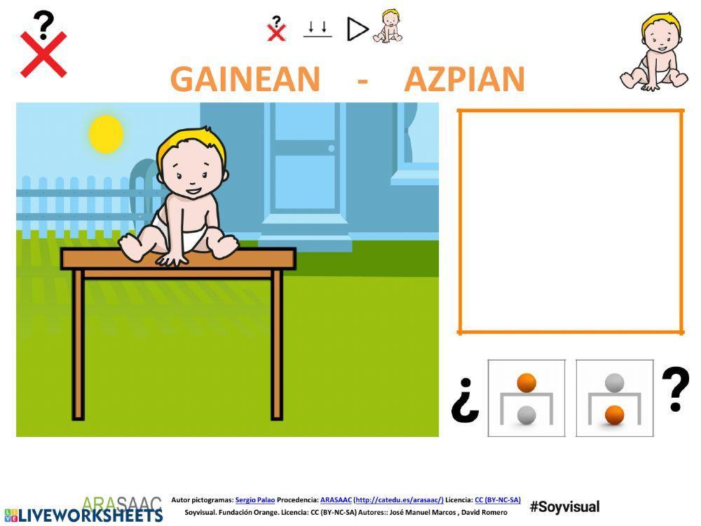 Oinarrizko kontzeptuak