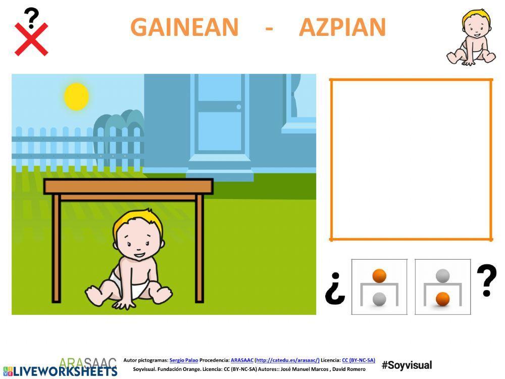 Oinarrizko kontzeptuak