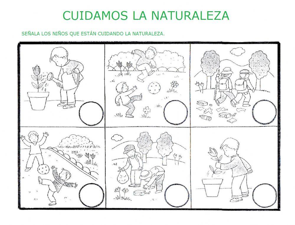 Cuidamos la naturaleza