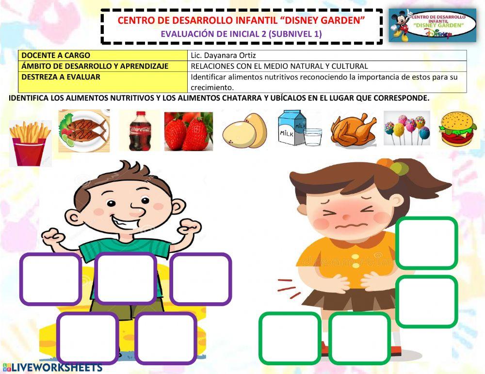 Alimentos saludables y chatarra