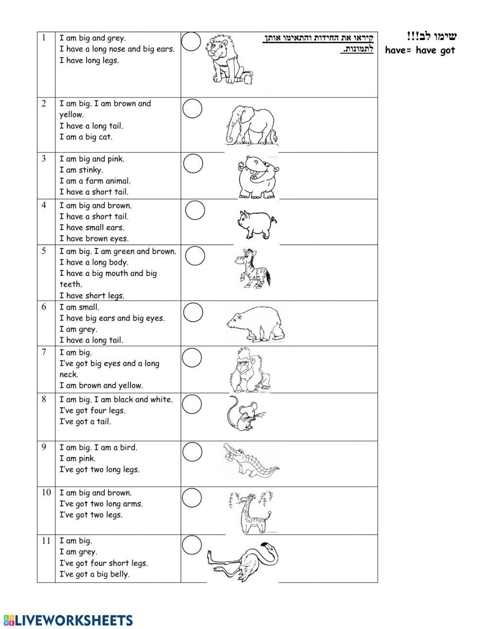 Aמןצשךrןגגךקד