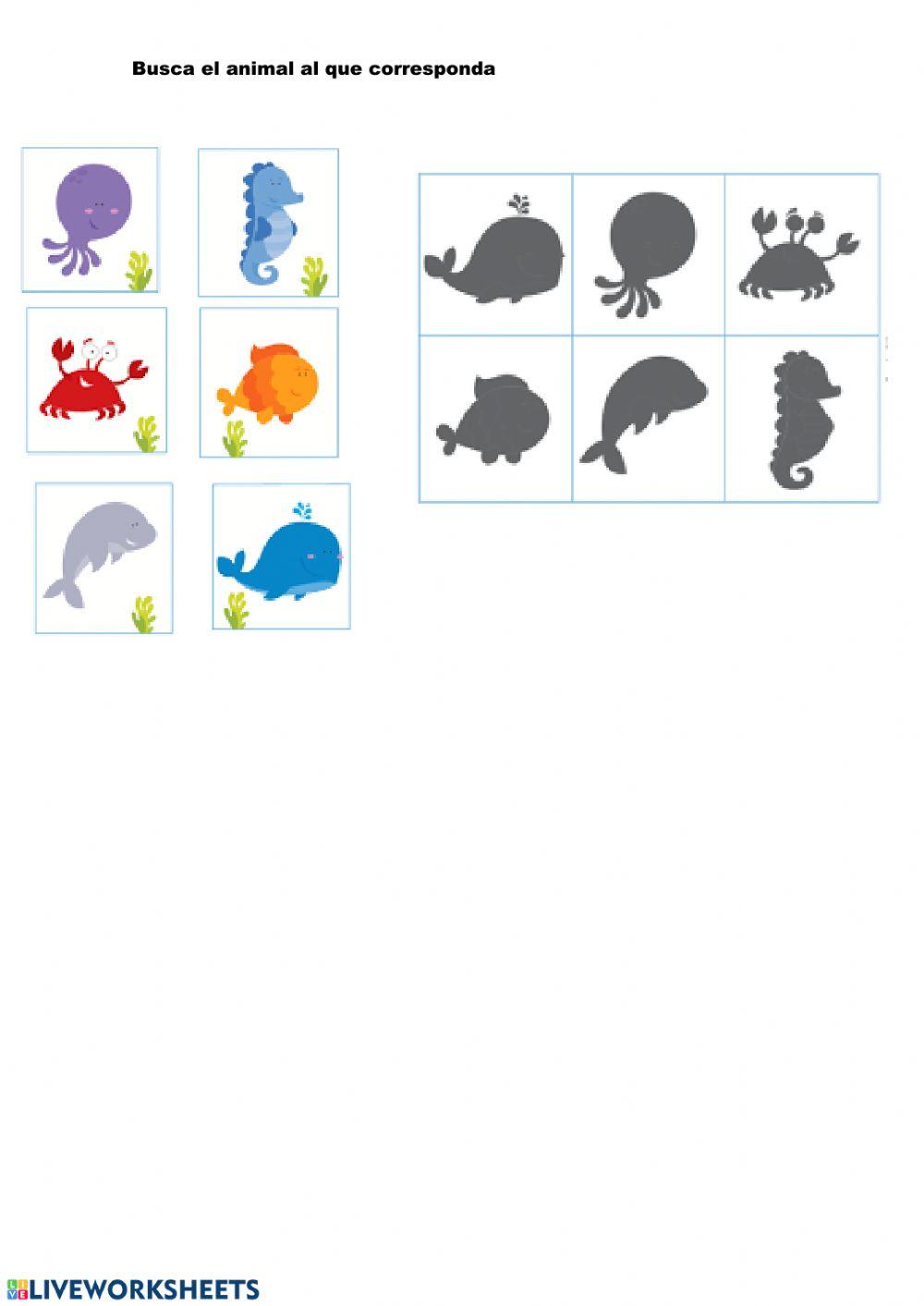 Buscar al pez que corresponda