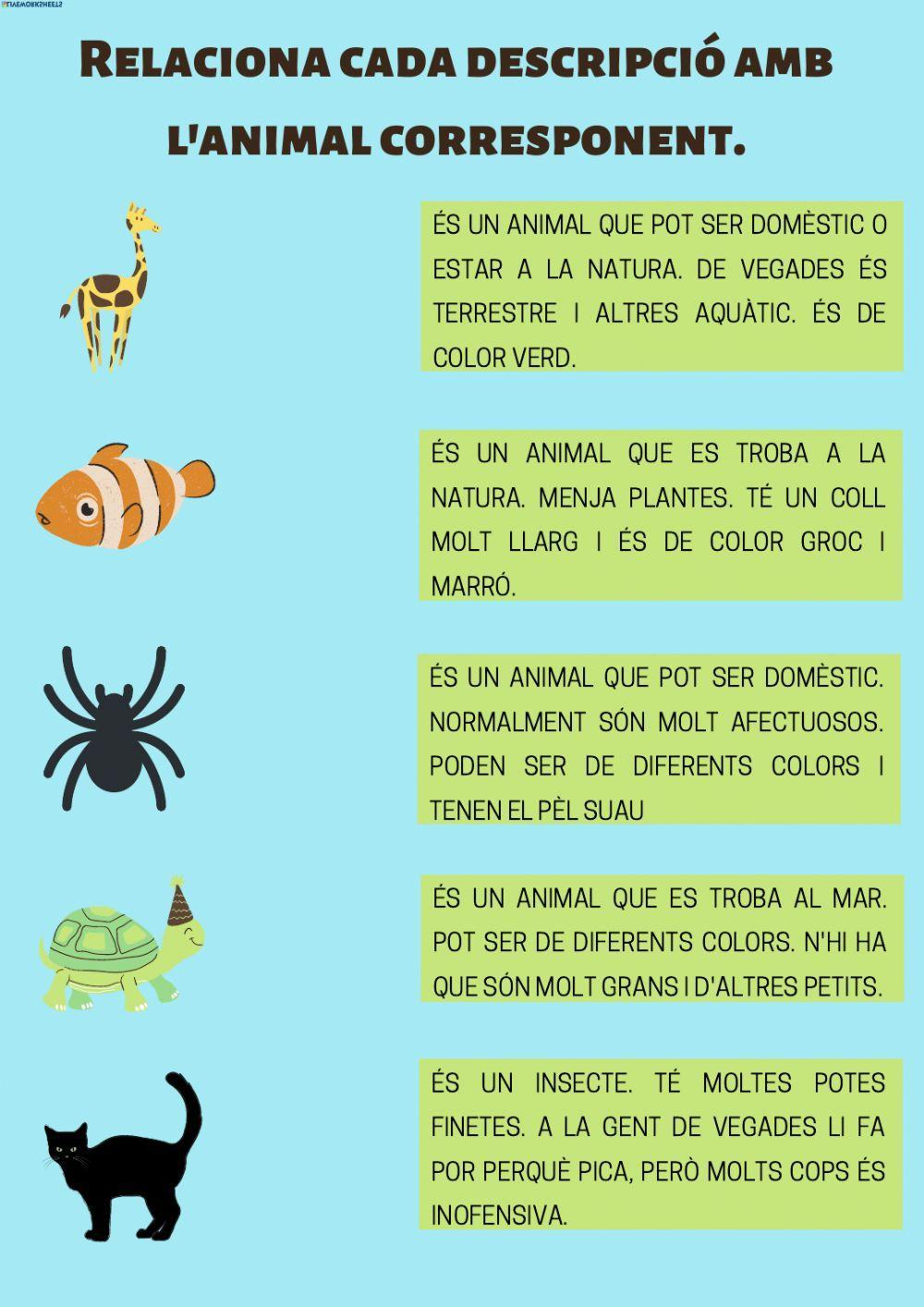 Comprensió lectora animals Comprensió lectora animals