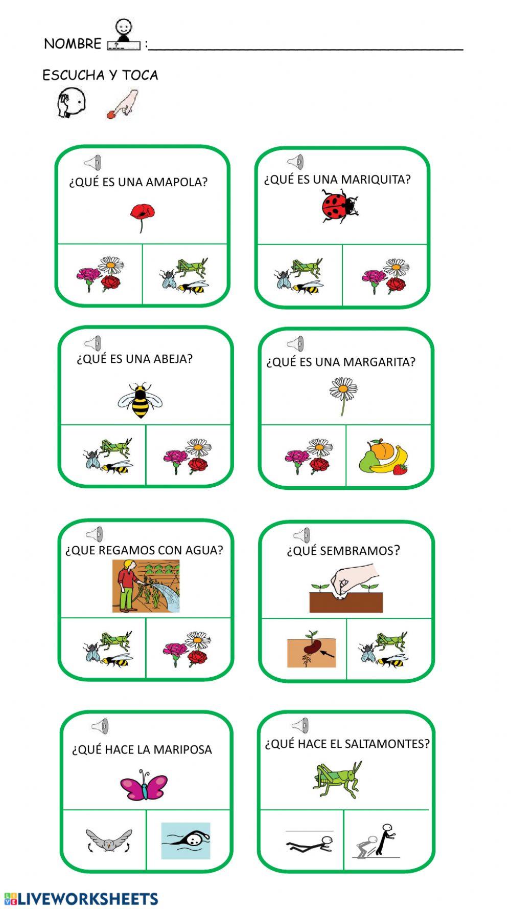 Comprensión -¿qué?