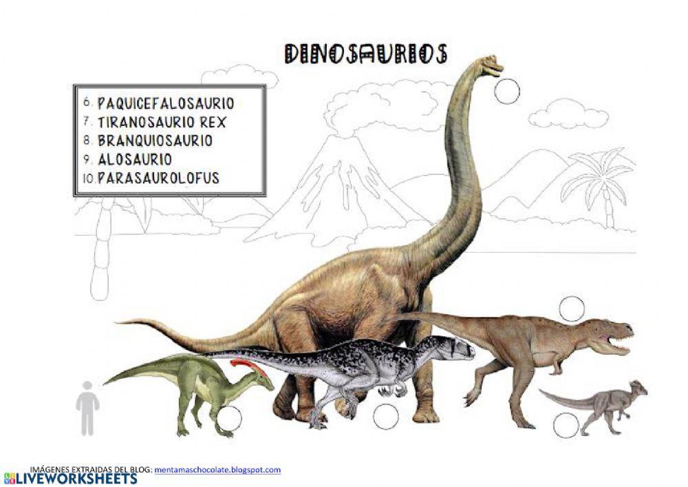 Dinosaurios