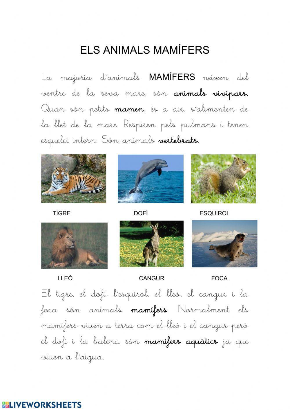 Els animals mamífers