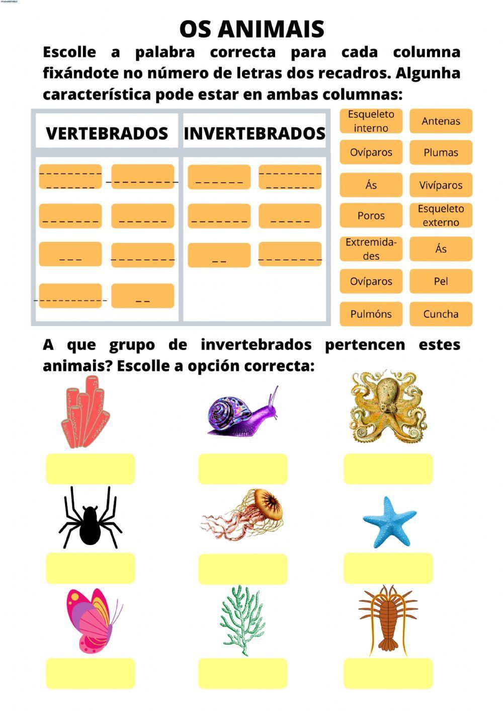 Animais vertebrados e invertebrados