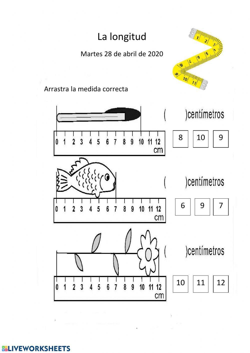 La longitud La longitud