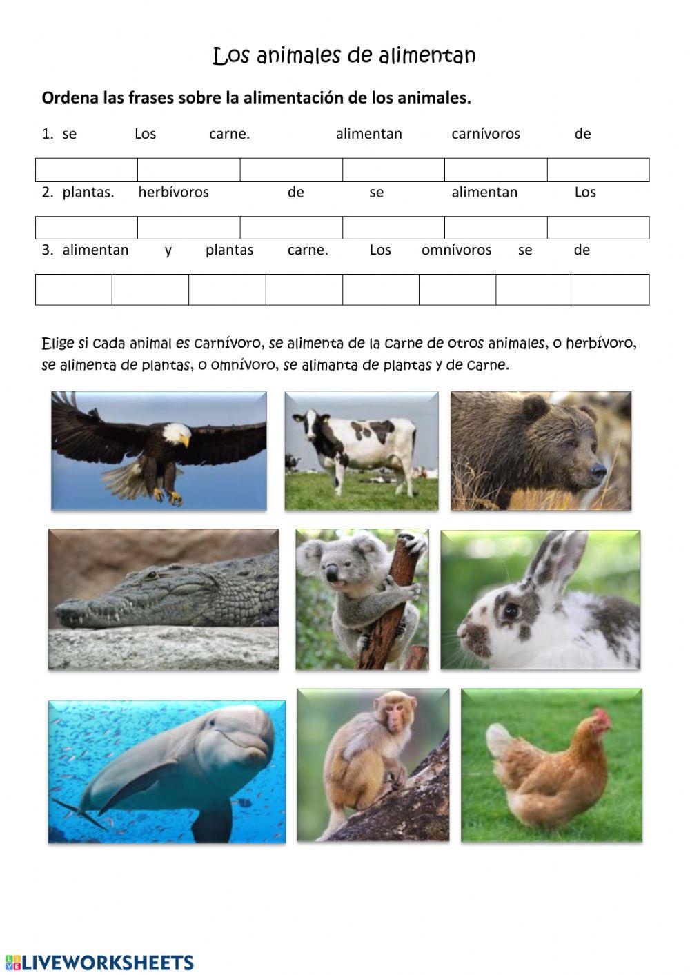 Los Animales Se Alimentan