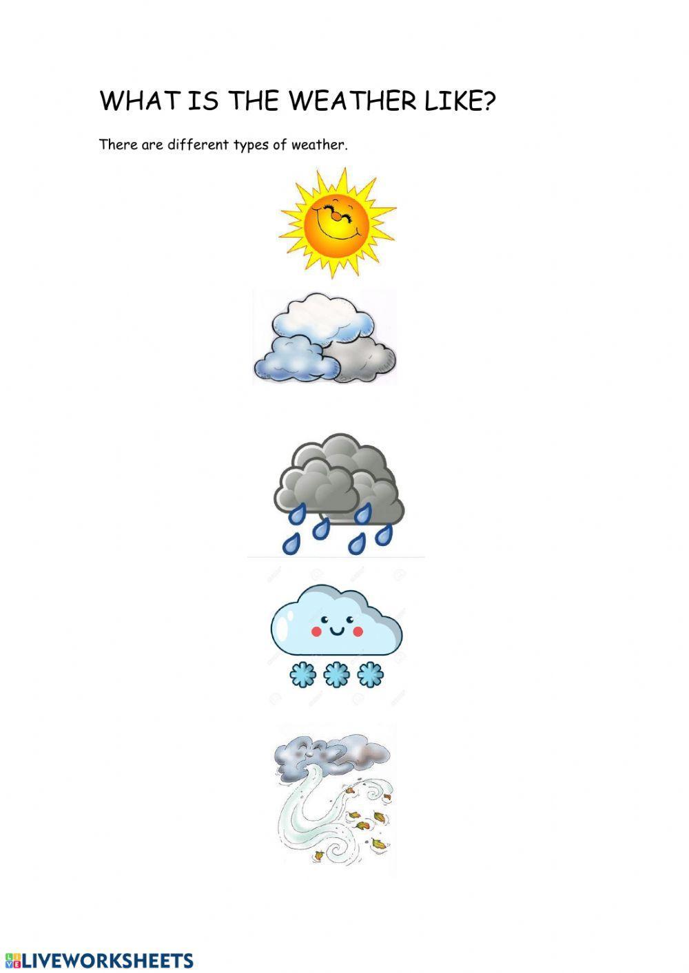 What is the weather like