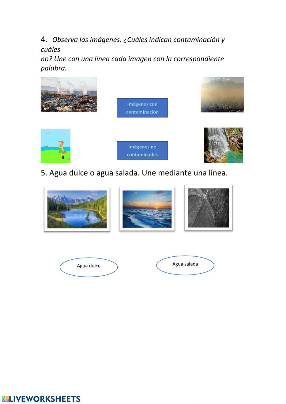 Estados, usos y contaminación del agua.