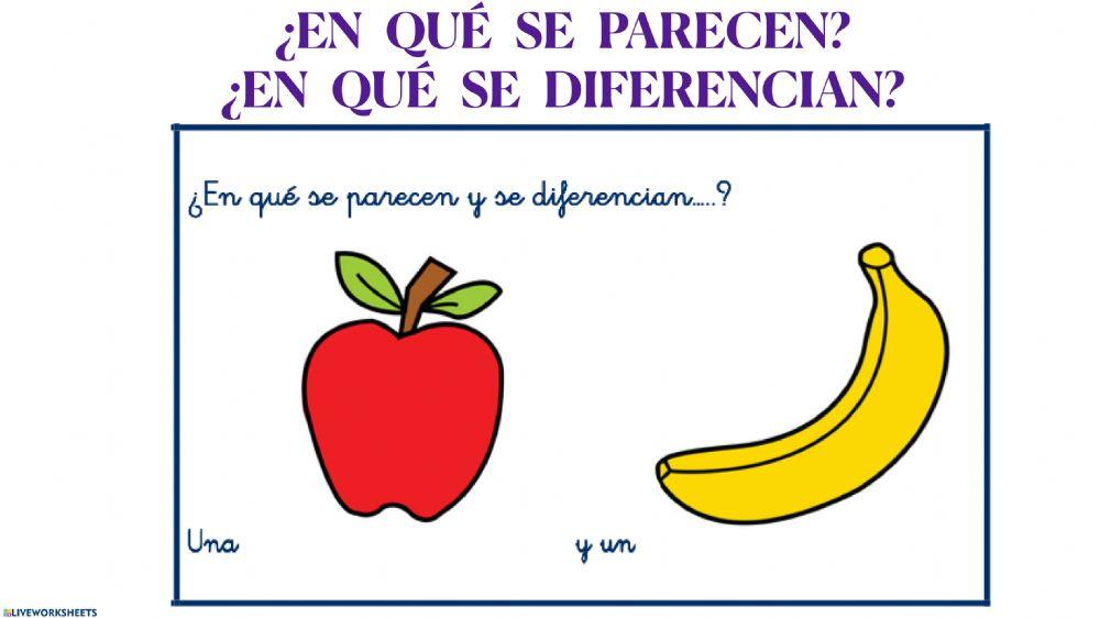 En que se parecen y en que se diferencian