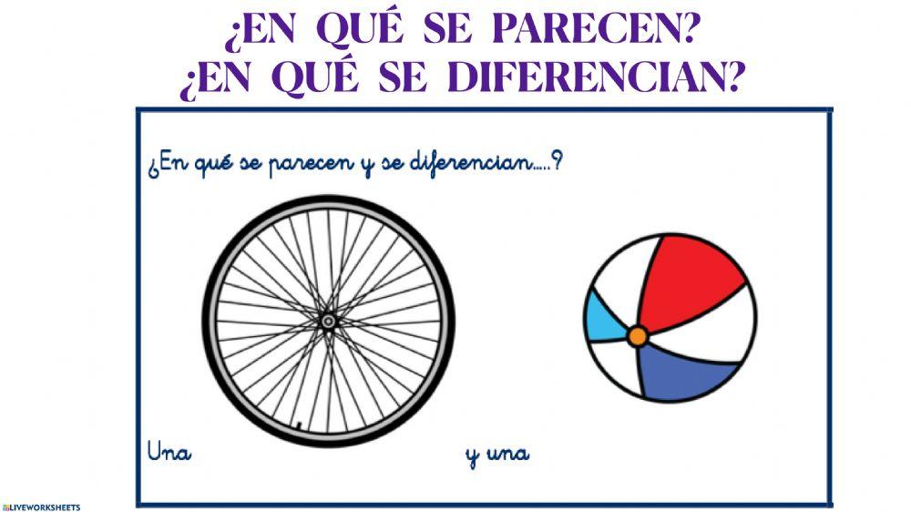 En que se parecen y en que se diferencian