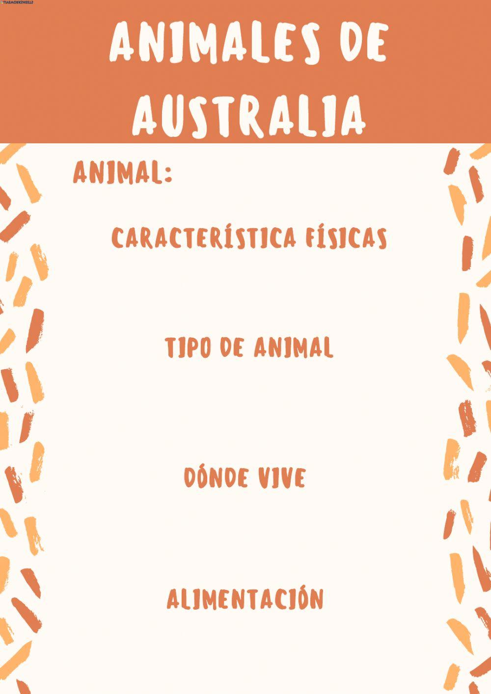 Animales de Australia