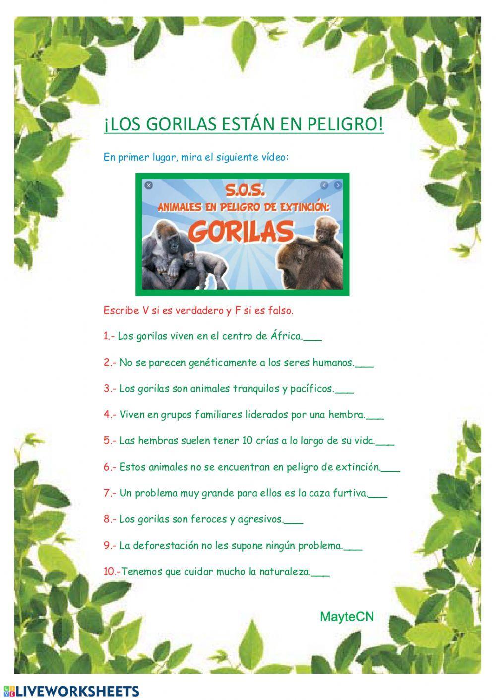 Los gorilas están en peligro