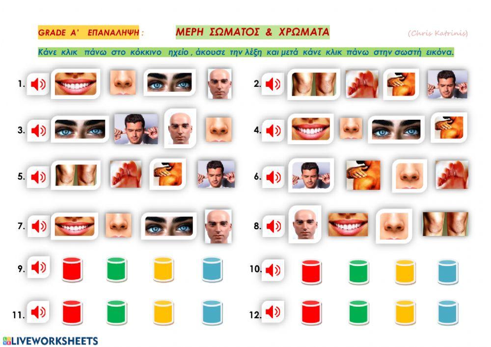 Parts of the Body and Colours - Practice