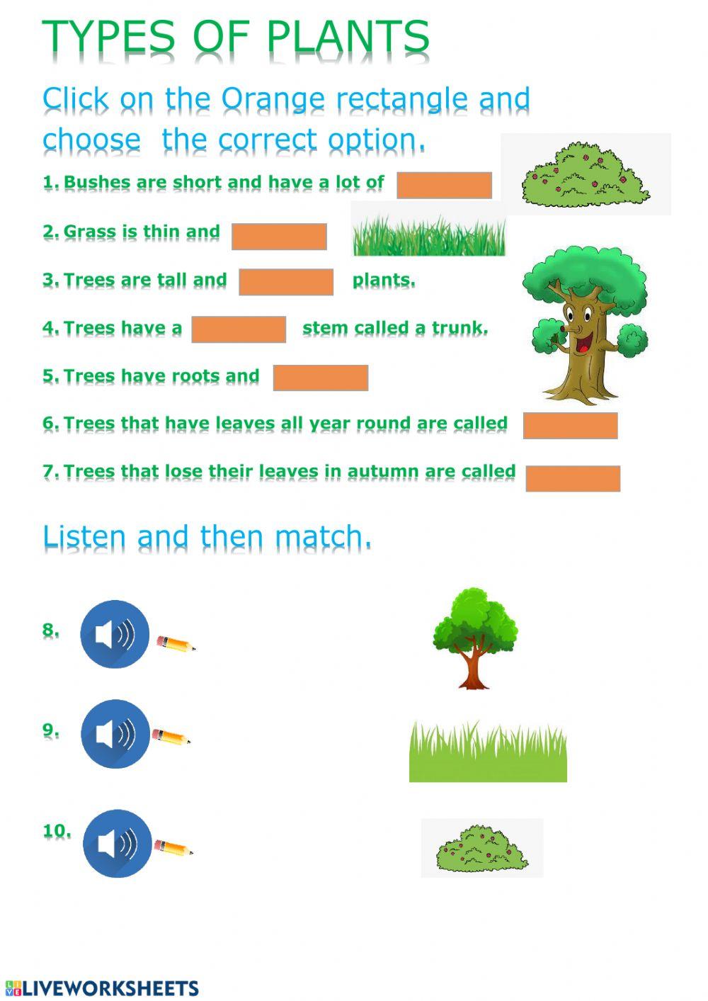 types of PLANTS