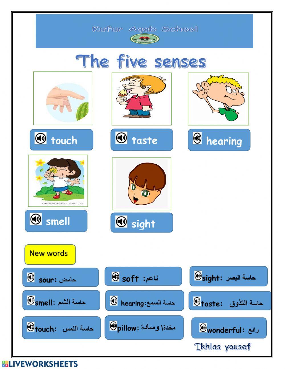 Five senses3