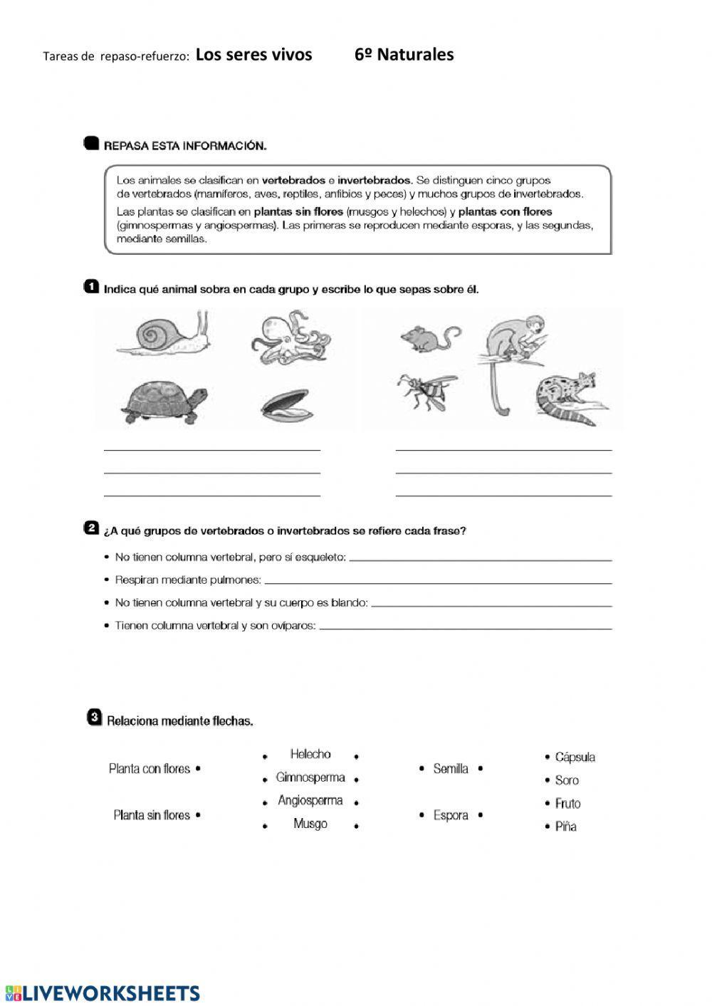 Ficha 3 repaso-refuerzo Naturales  6º primaria 