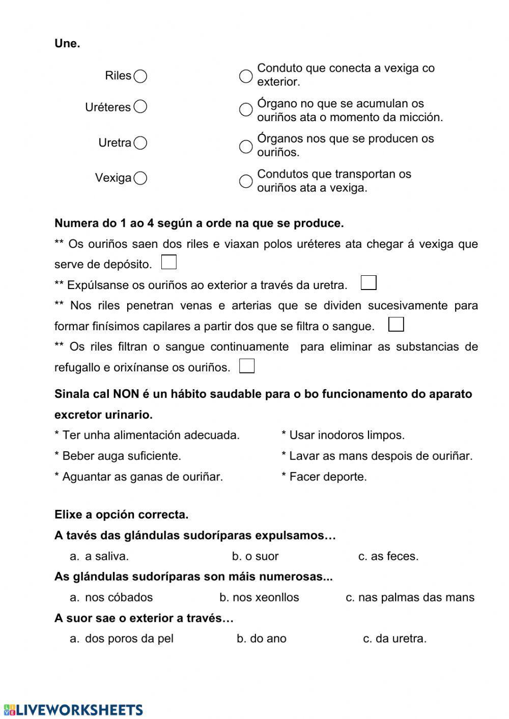 Nutrición 5. A excreción e o aparato excretor