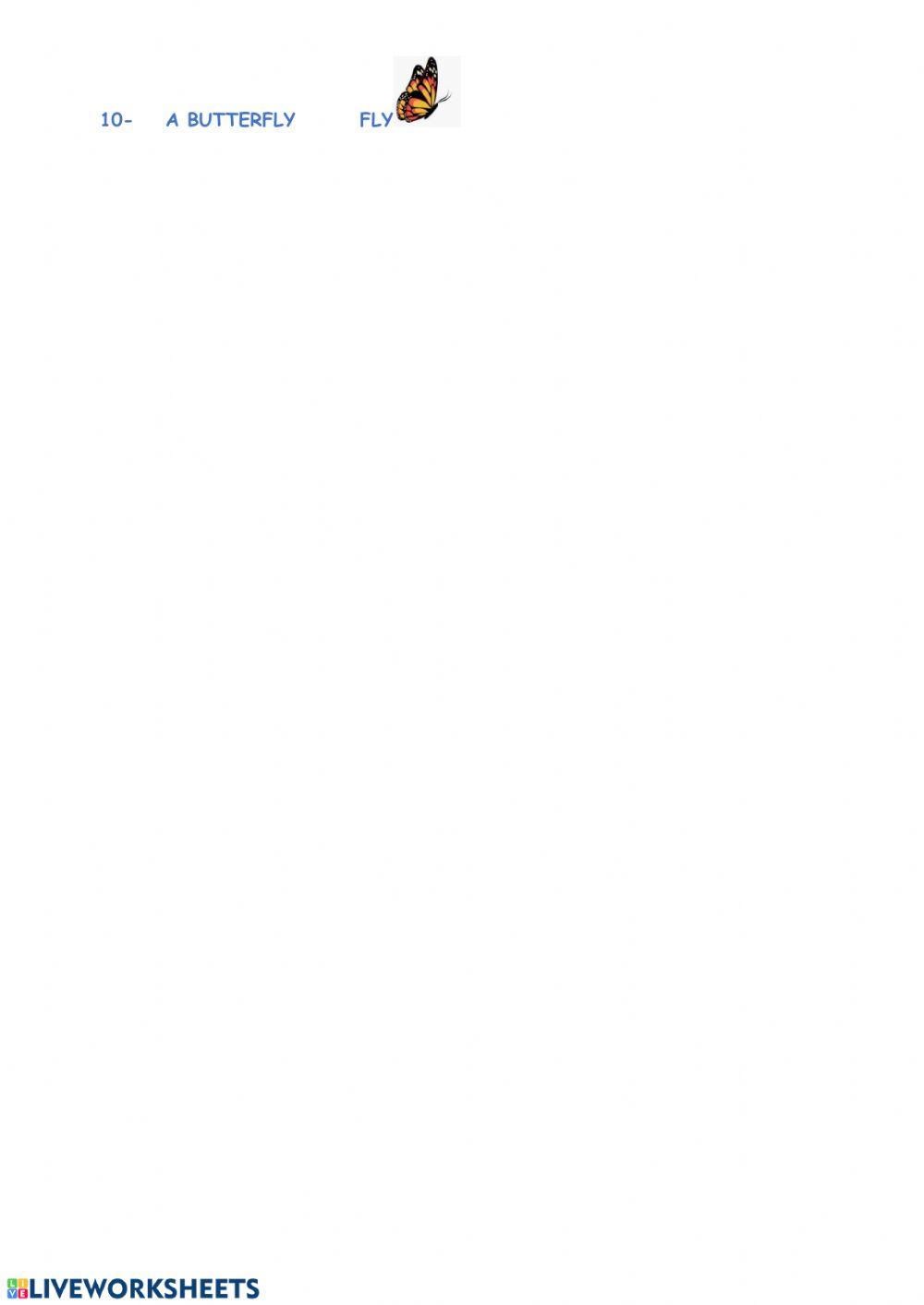 Personal pronoun- can and can't