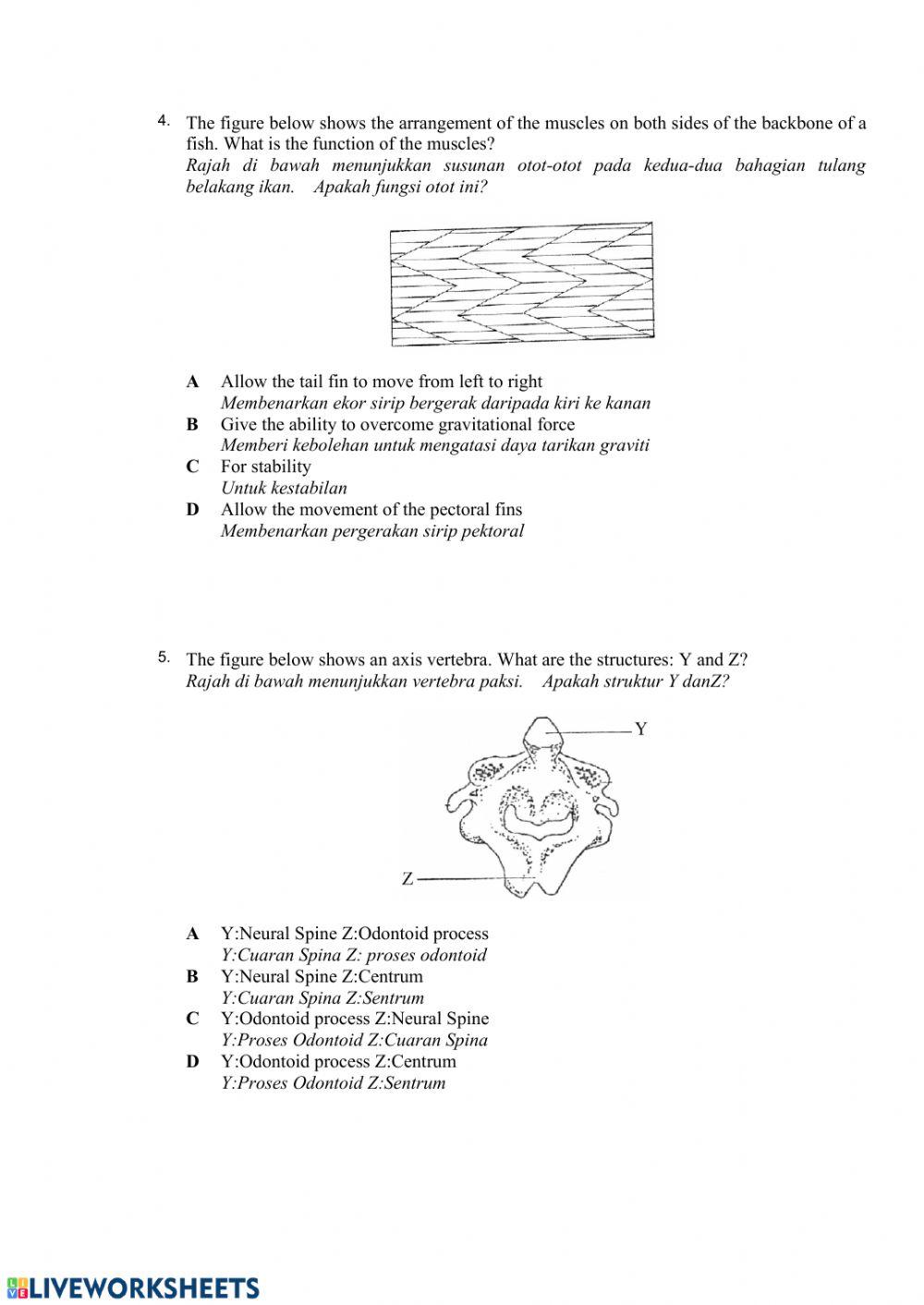 Soalan objektif: sokongan & pergerakan