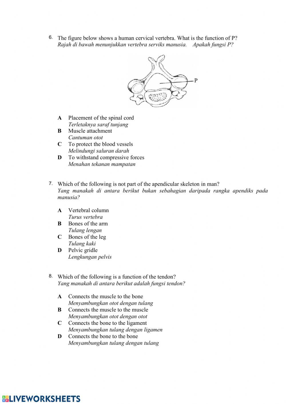 Soalan objektif: sokongan & pergerakan