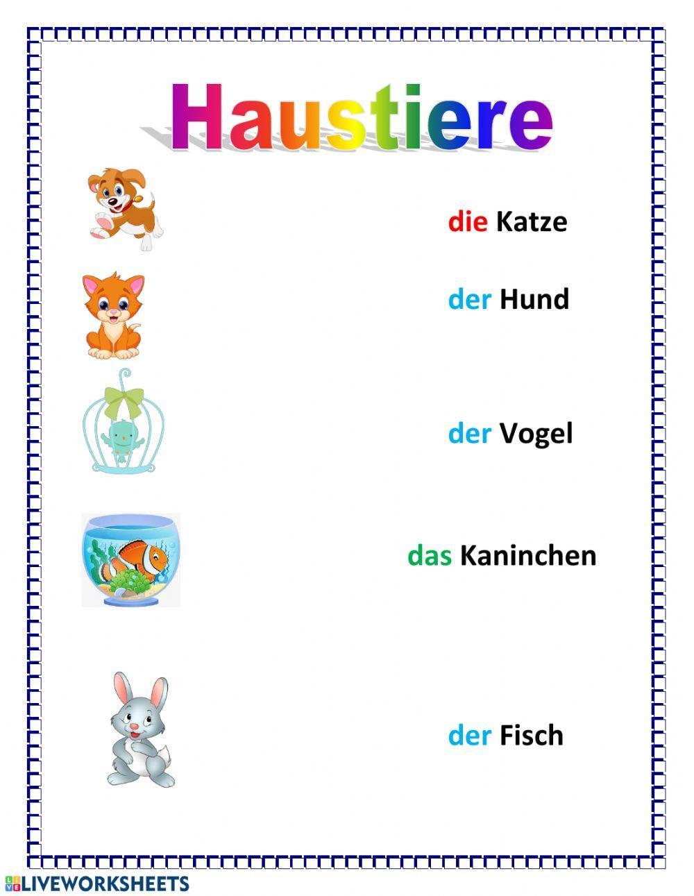 Haustiere 126847 | Olga Gallo Bosque | Live Worksheets Haustiere 126847 | Olga Gallo Bosque | Live Worksheets