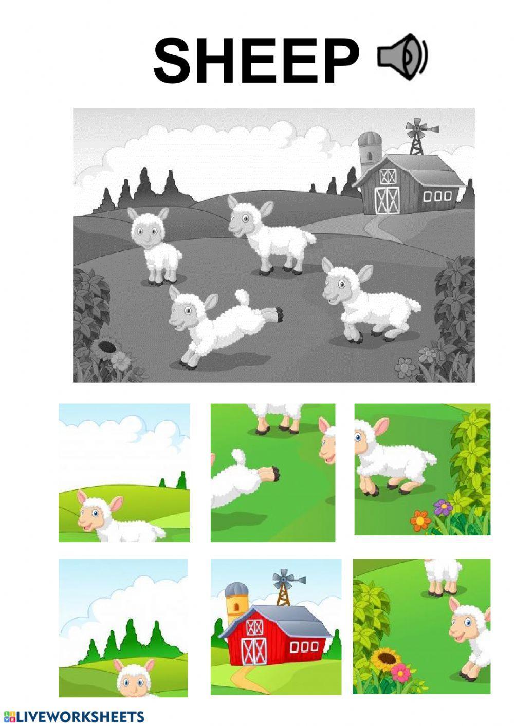 sheep puzzle