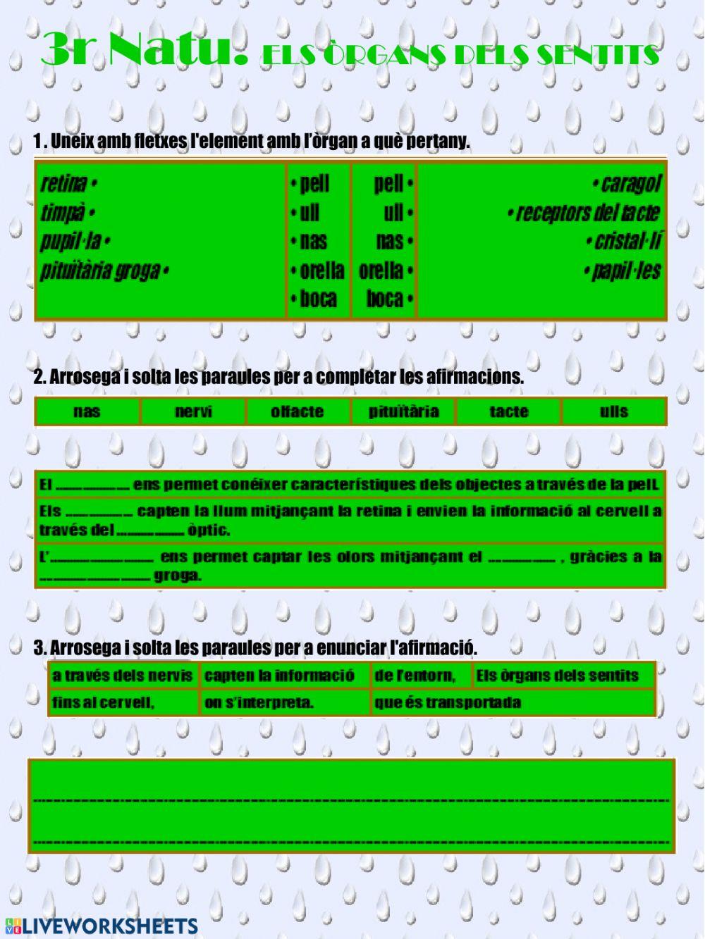Els òrgans dels sentits