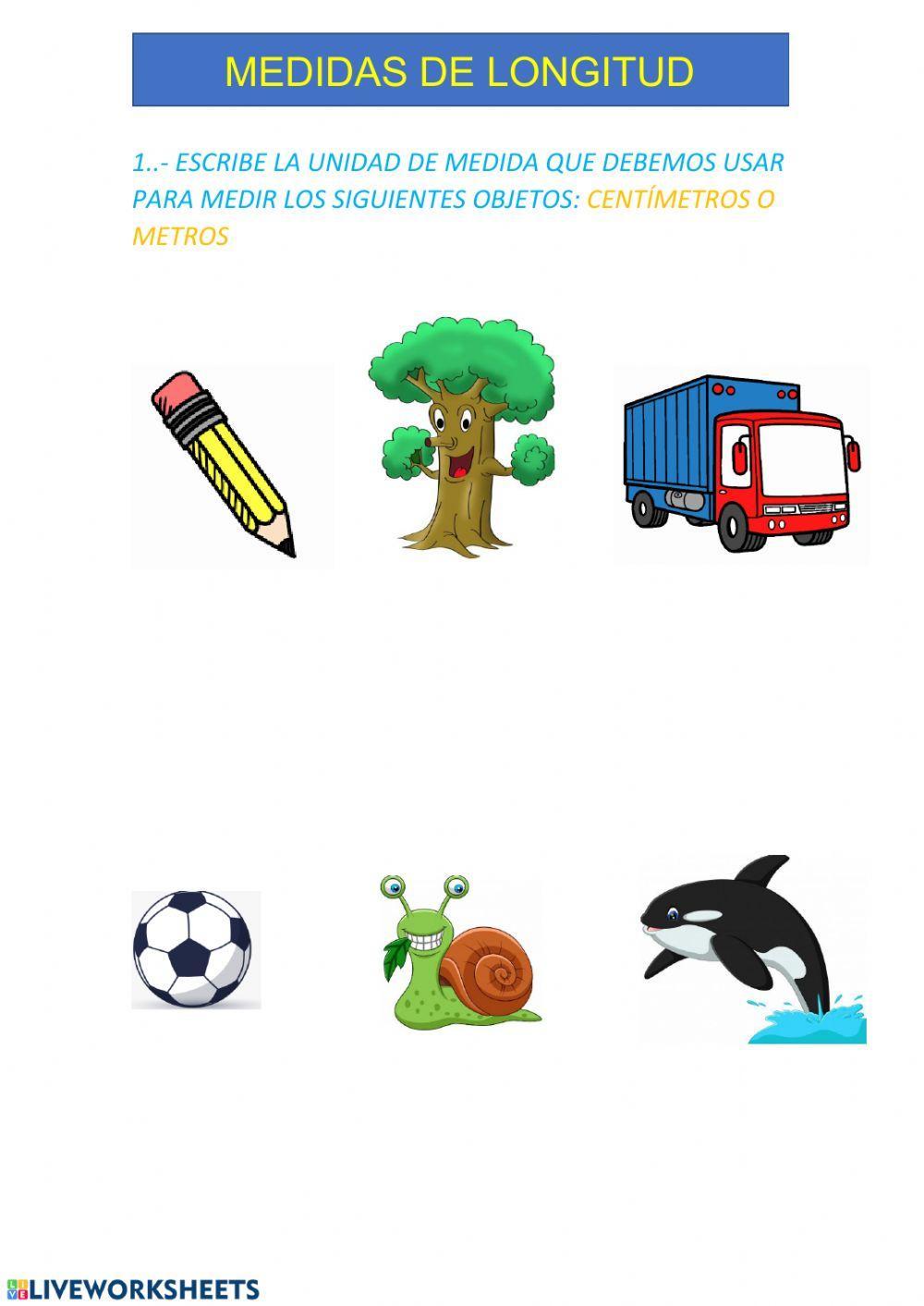 Medidas de longitud: metro y centímetro