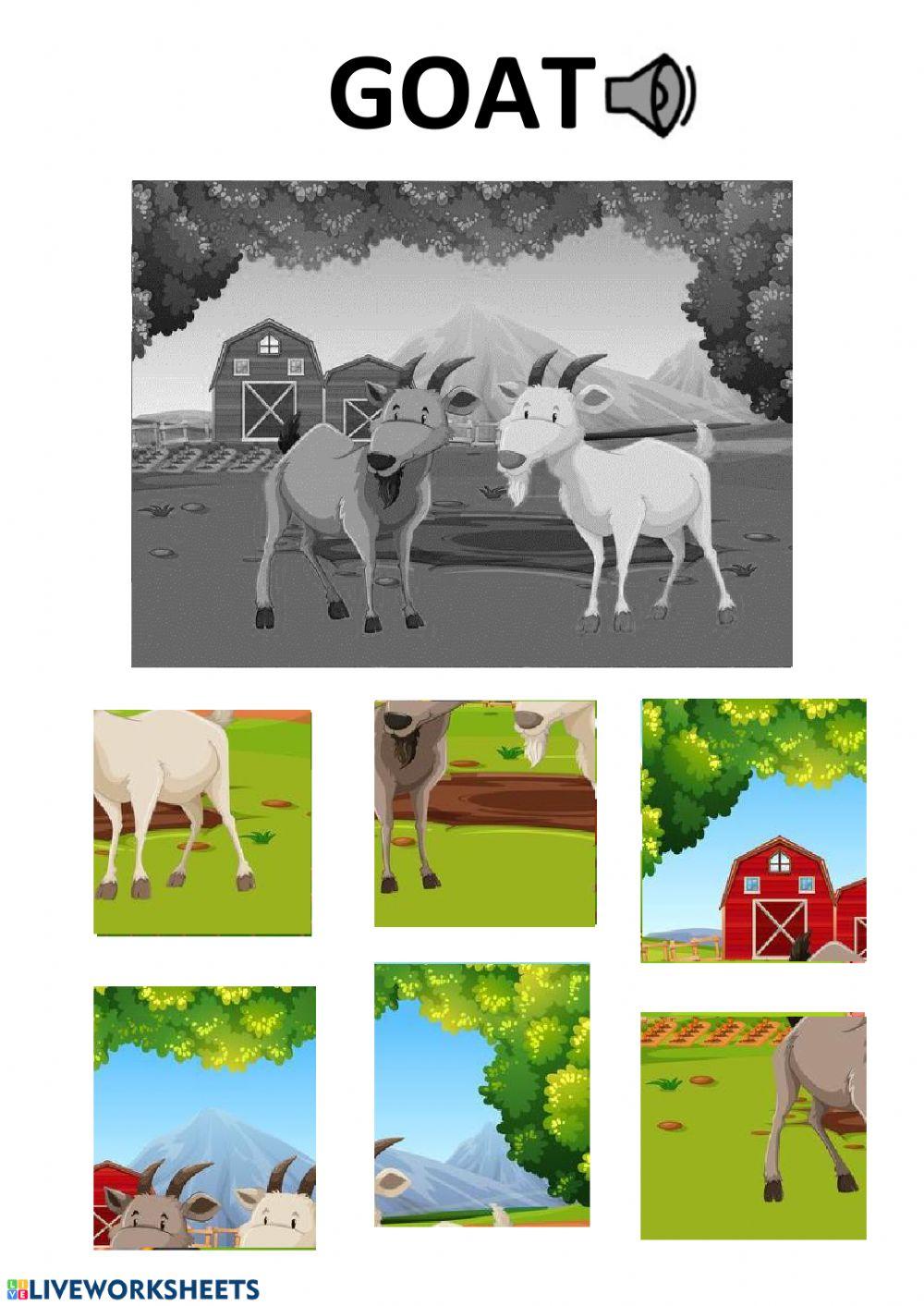 goat puzzle