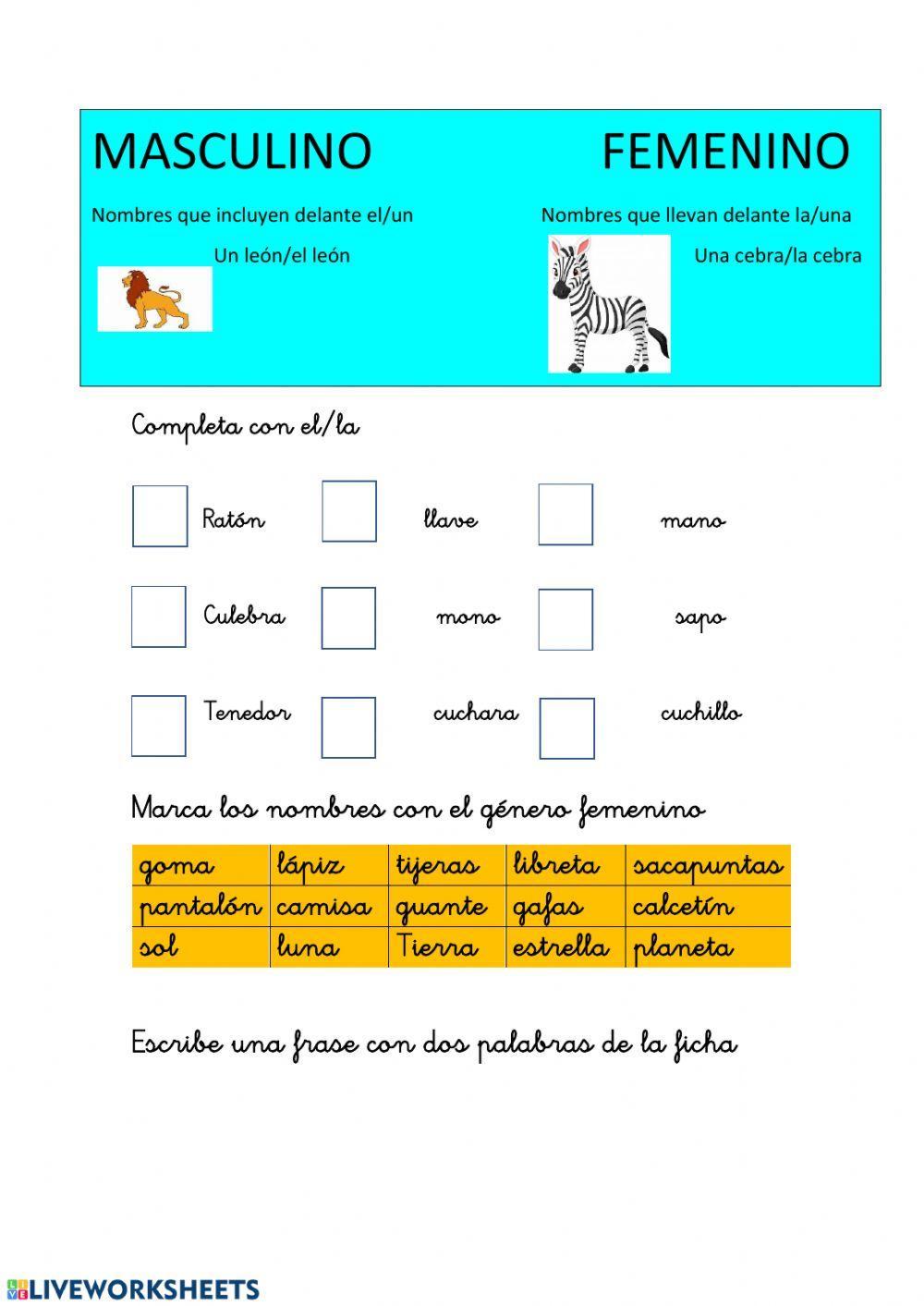 Masculino y femenino