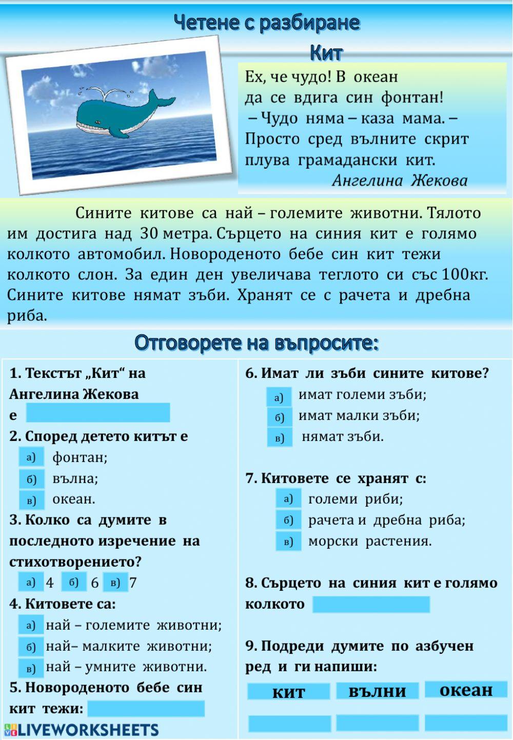 Четене с разбиране: Кит