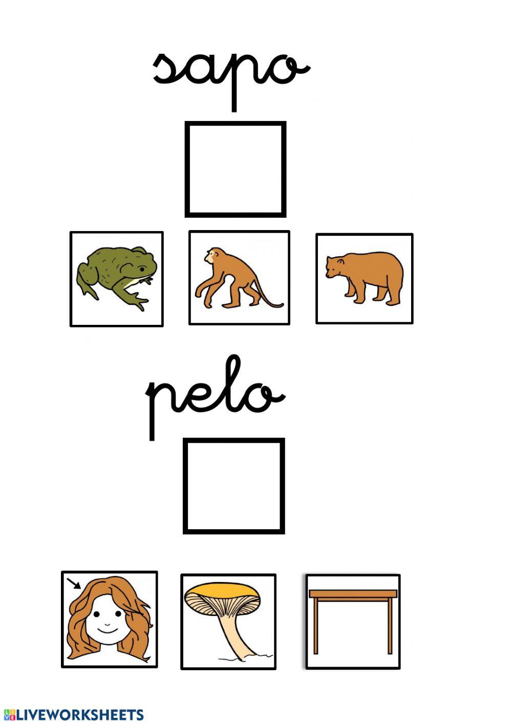 Lectura global palabras