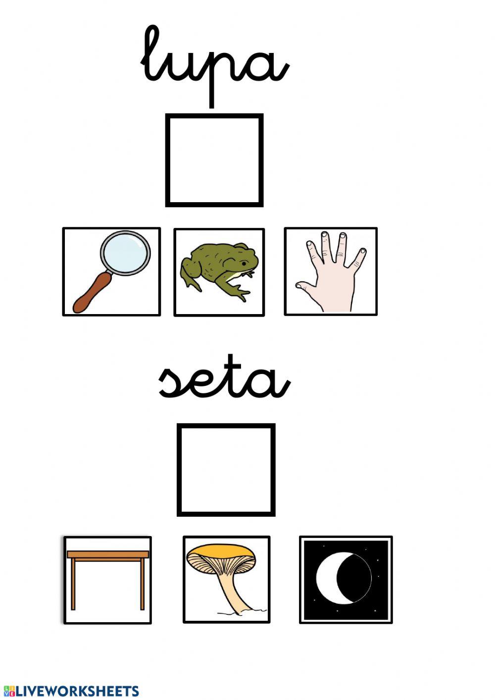 Lectura global palabras