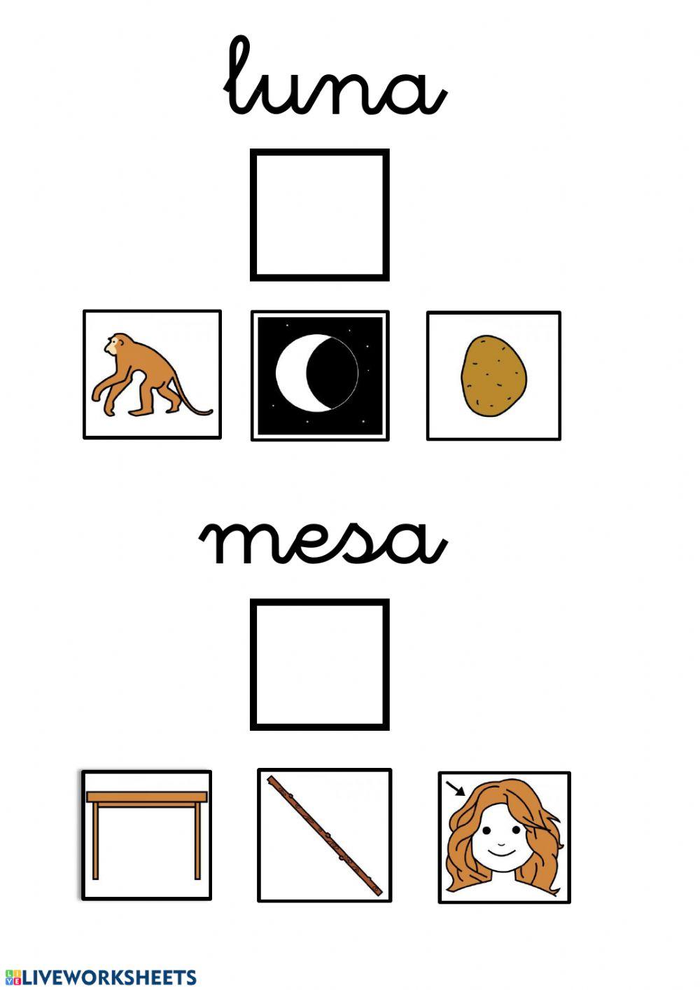 Lectura global palabras