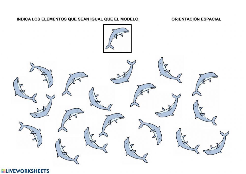 Orientación espacial