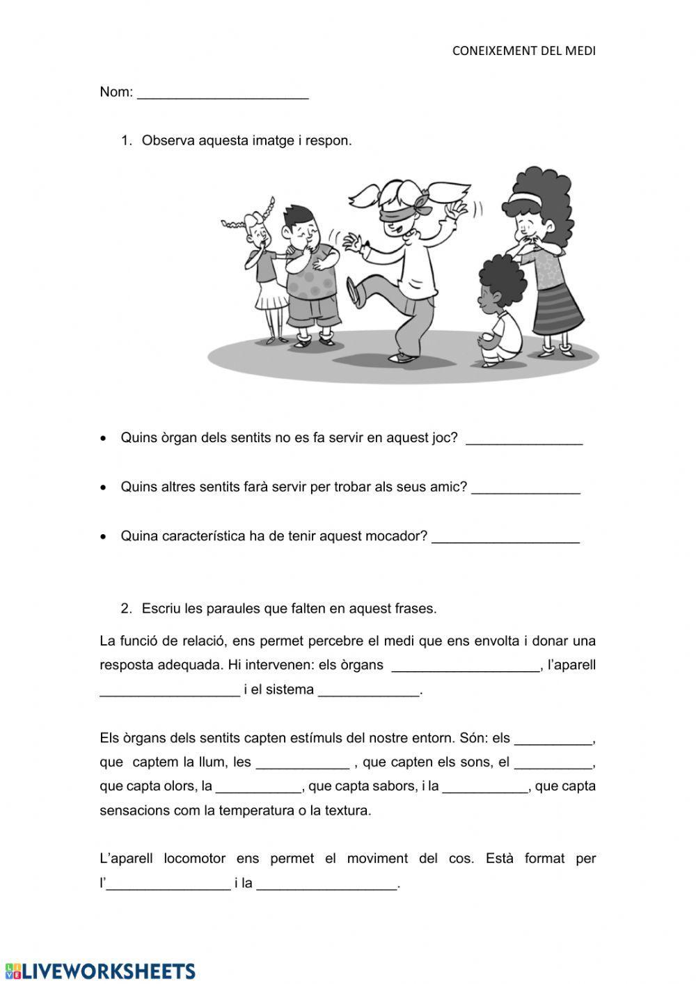 La relació i els sentits