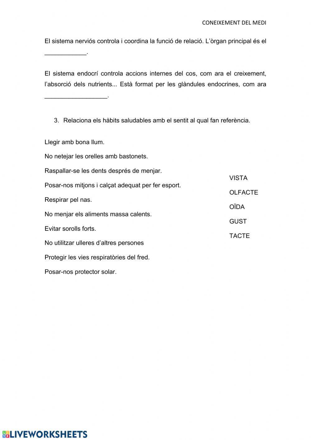 La relació i els sentits