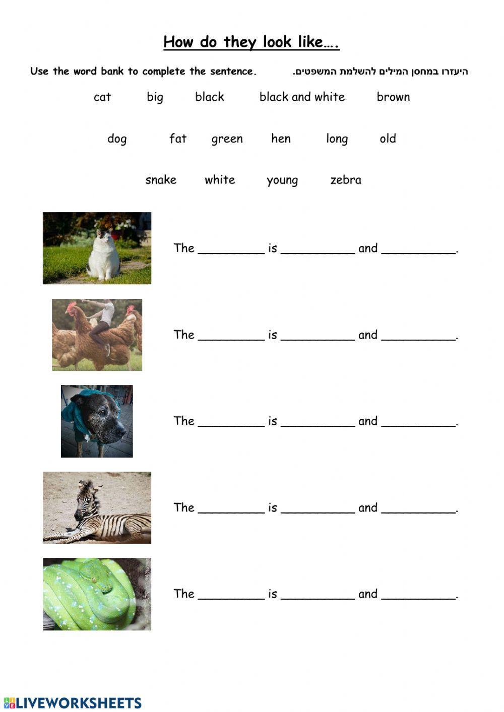 How Do They Look Like?