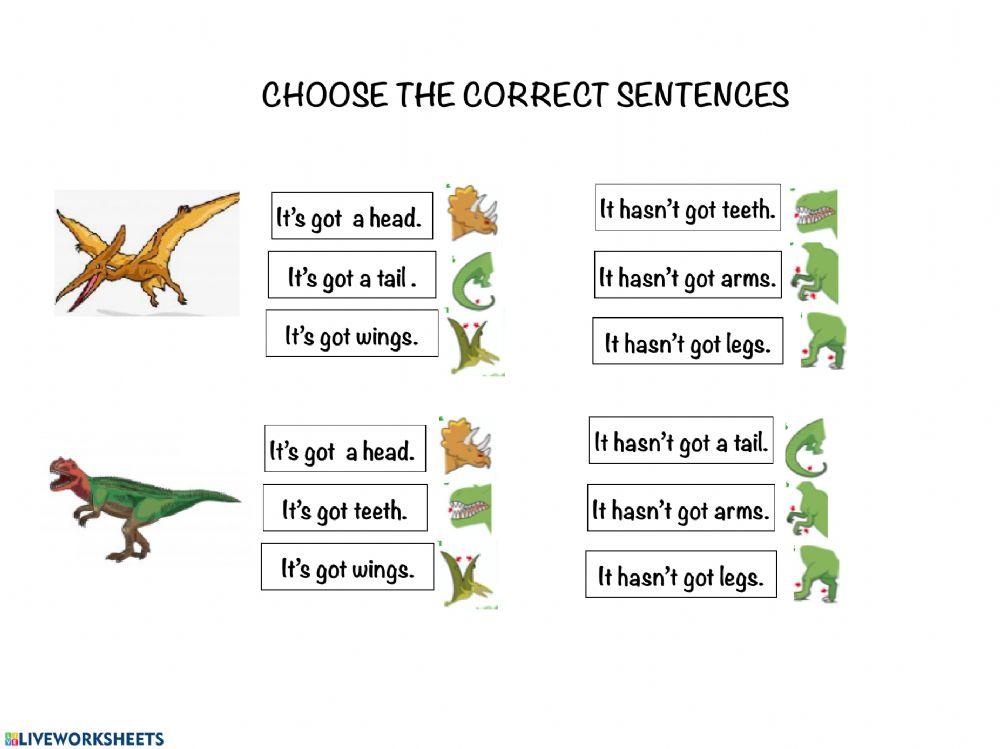 Choose the correct sentences