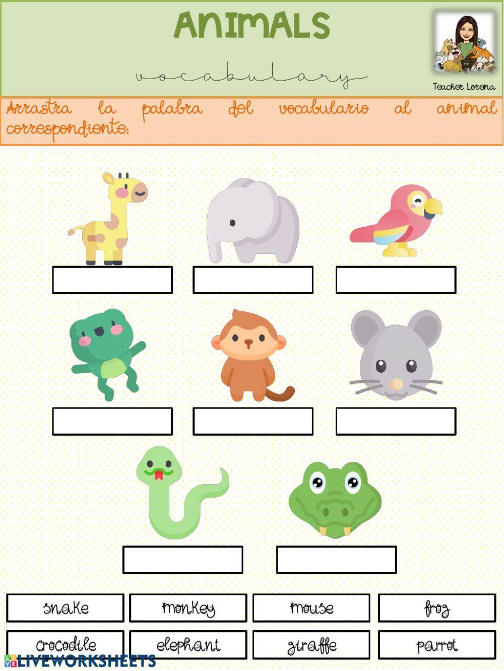 Animal vocabulario