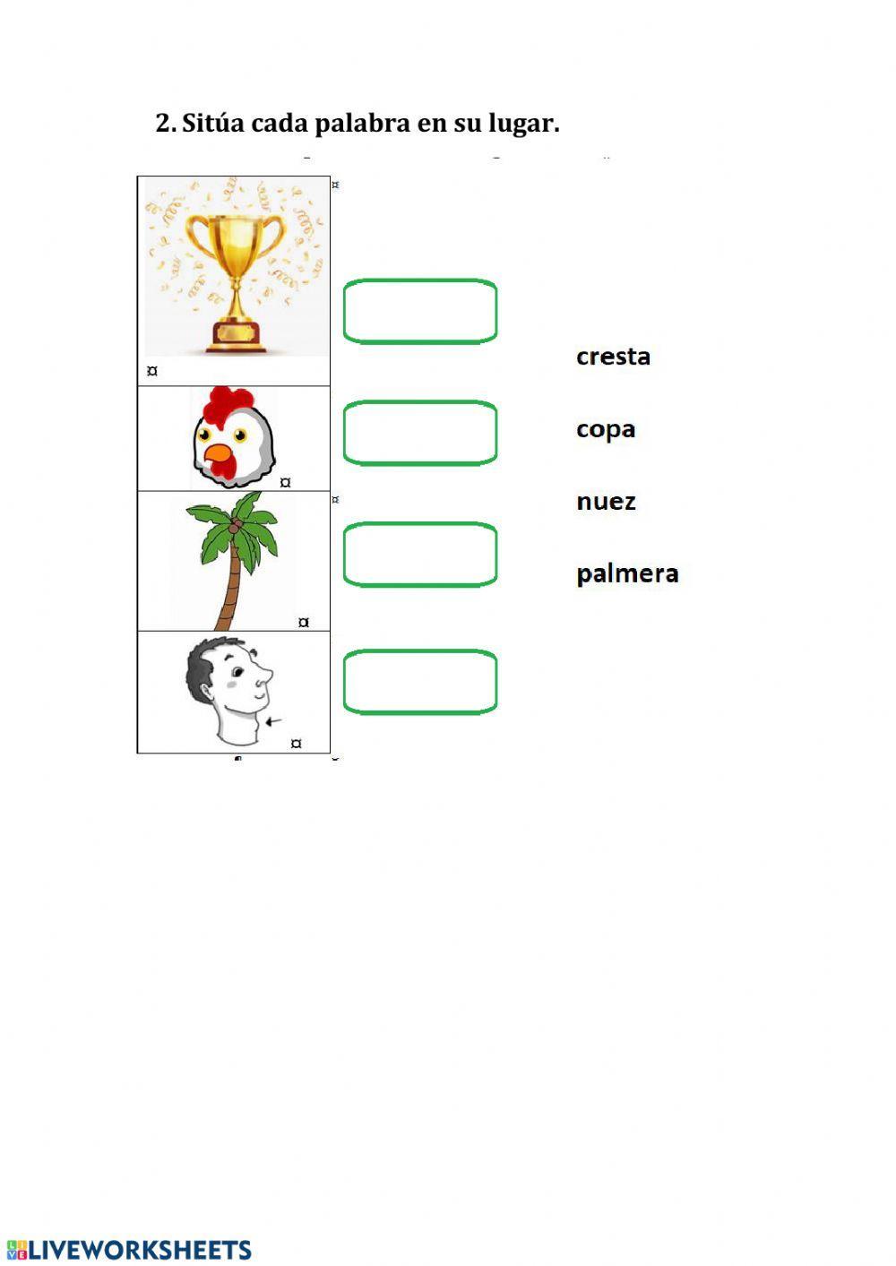 Palabras polisémicas