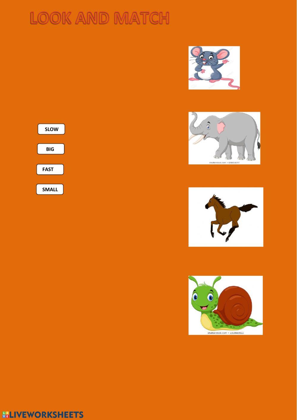 Big-small-fast-… | Free Interactive Worksheets | 128483