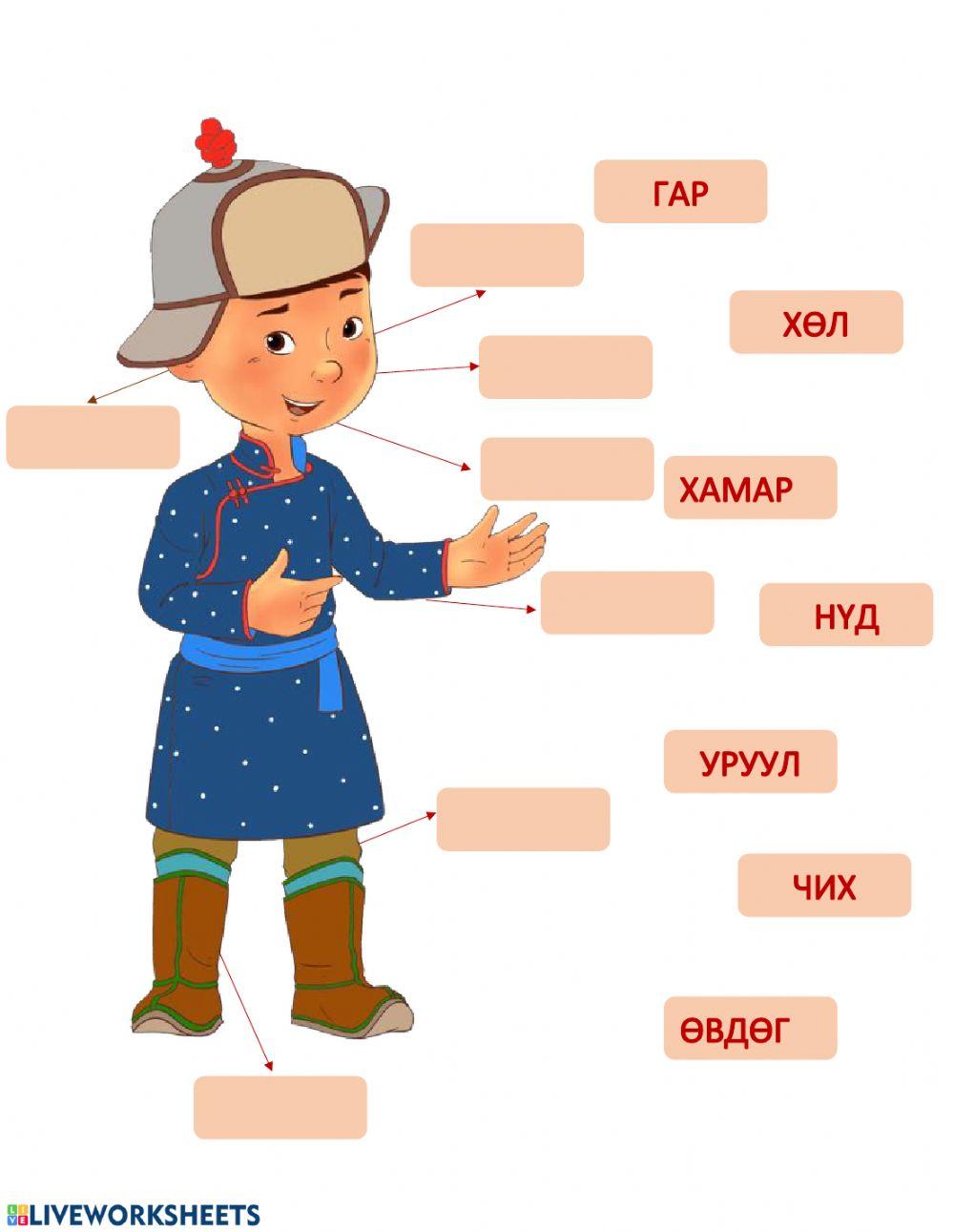 128512 | Хүний бие эрхтэн | Gerelmaa | LiveWorksheets