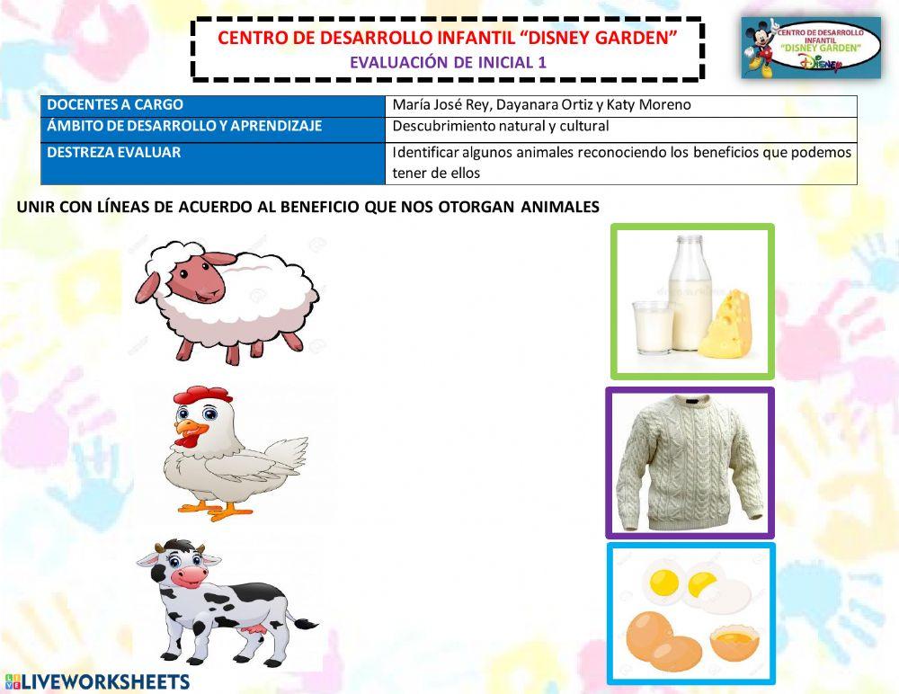 Beneficios de los animales