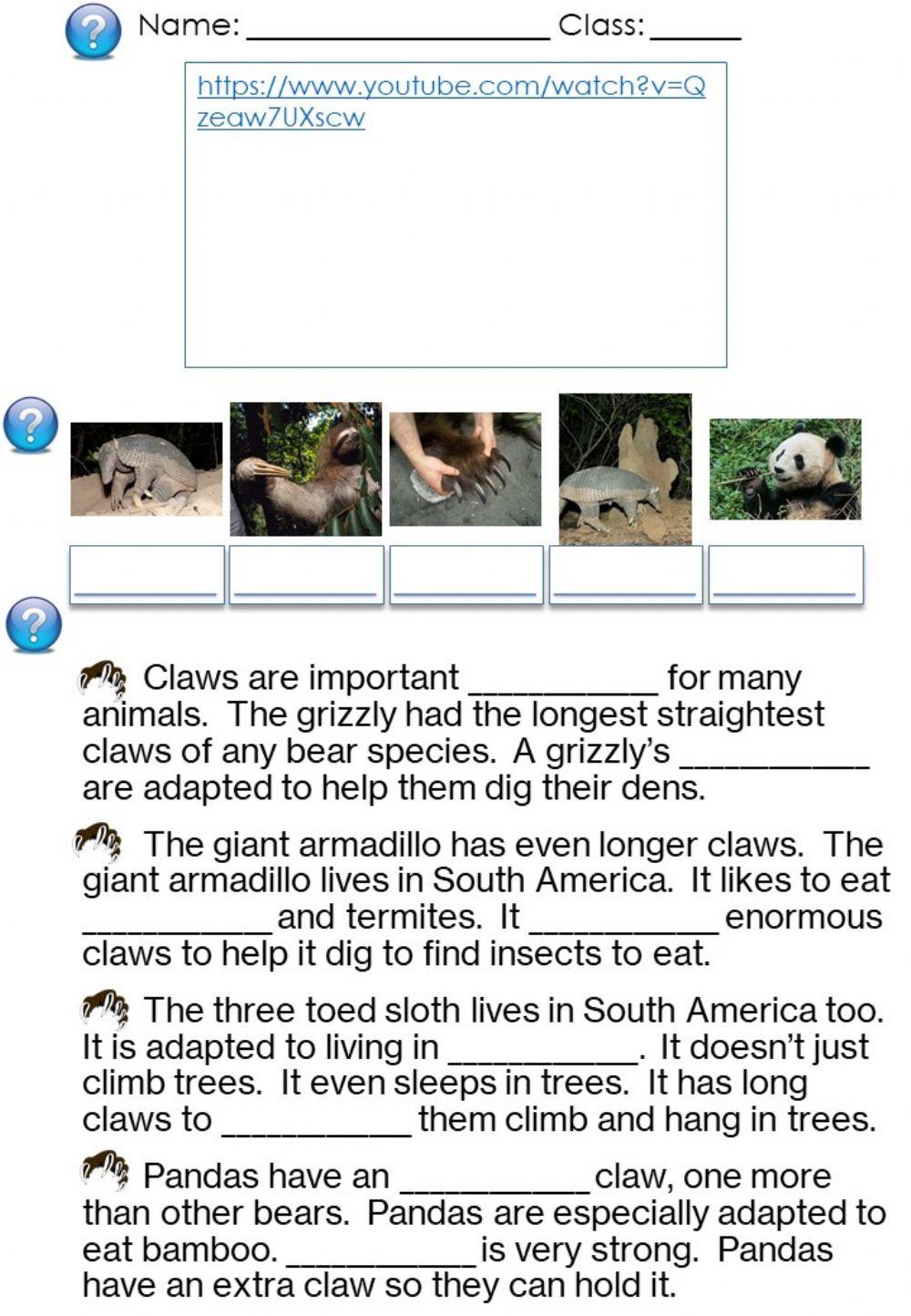 Claws - 4 Animals