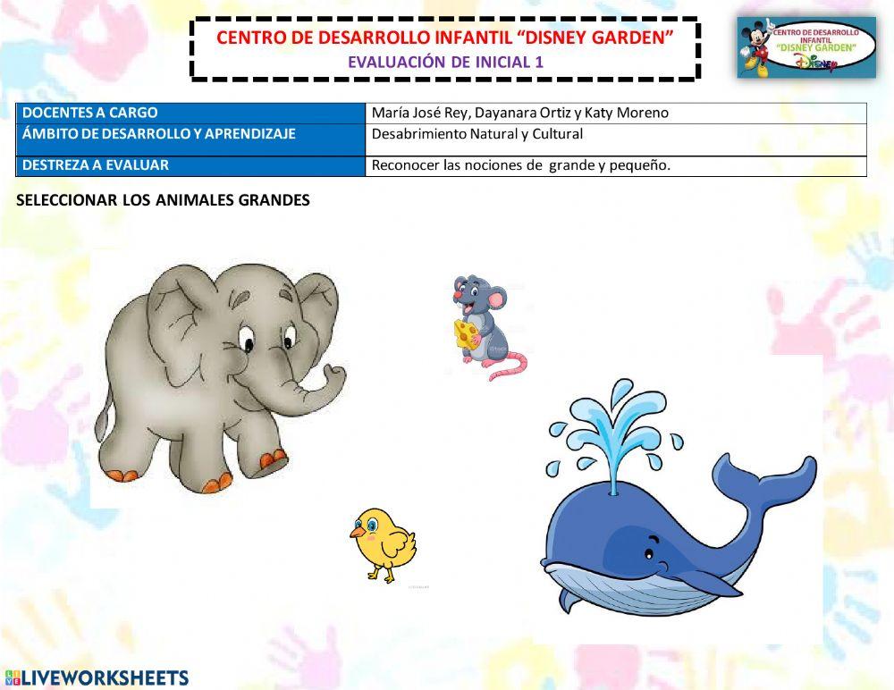 Jugamos con las nociones